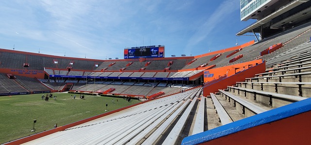 虽在比赛中 虽在比赛中