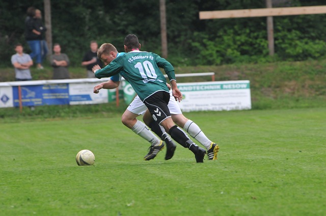 高的价值 高的价值