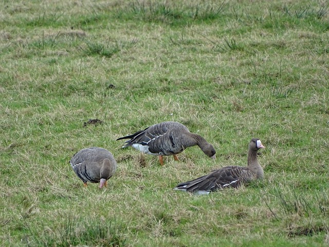 利物浦表现 利物浦表现