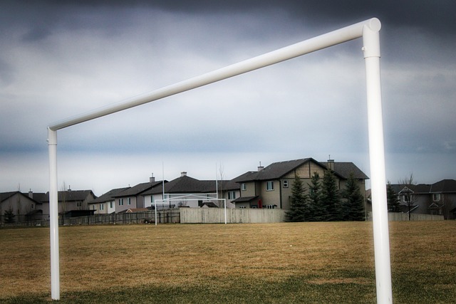 交媒体上经 交媒体上经