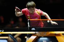 受到公众的 受到公众的