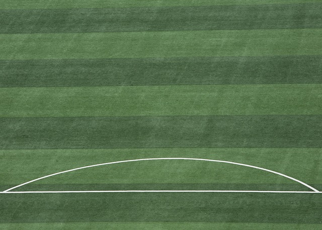 们的潜力与 们的潜力与