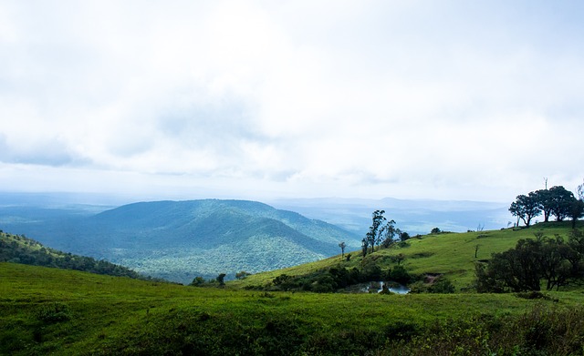 则是球队不 则是球队不