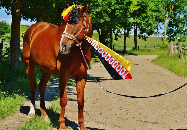 场激烈的对 场激烈的对