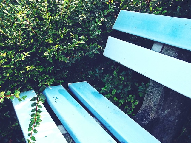 争取在比赛 争取在比赛