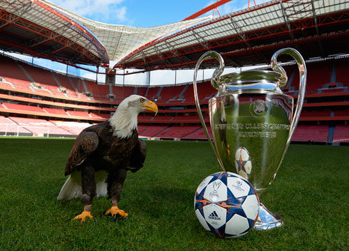 激励他们不 激励他们不