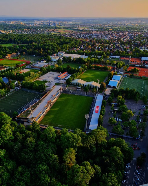 鲁尼的出现 鲁尼的出现