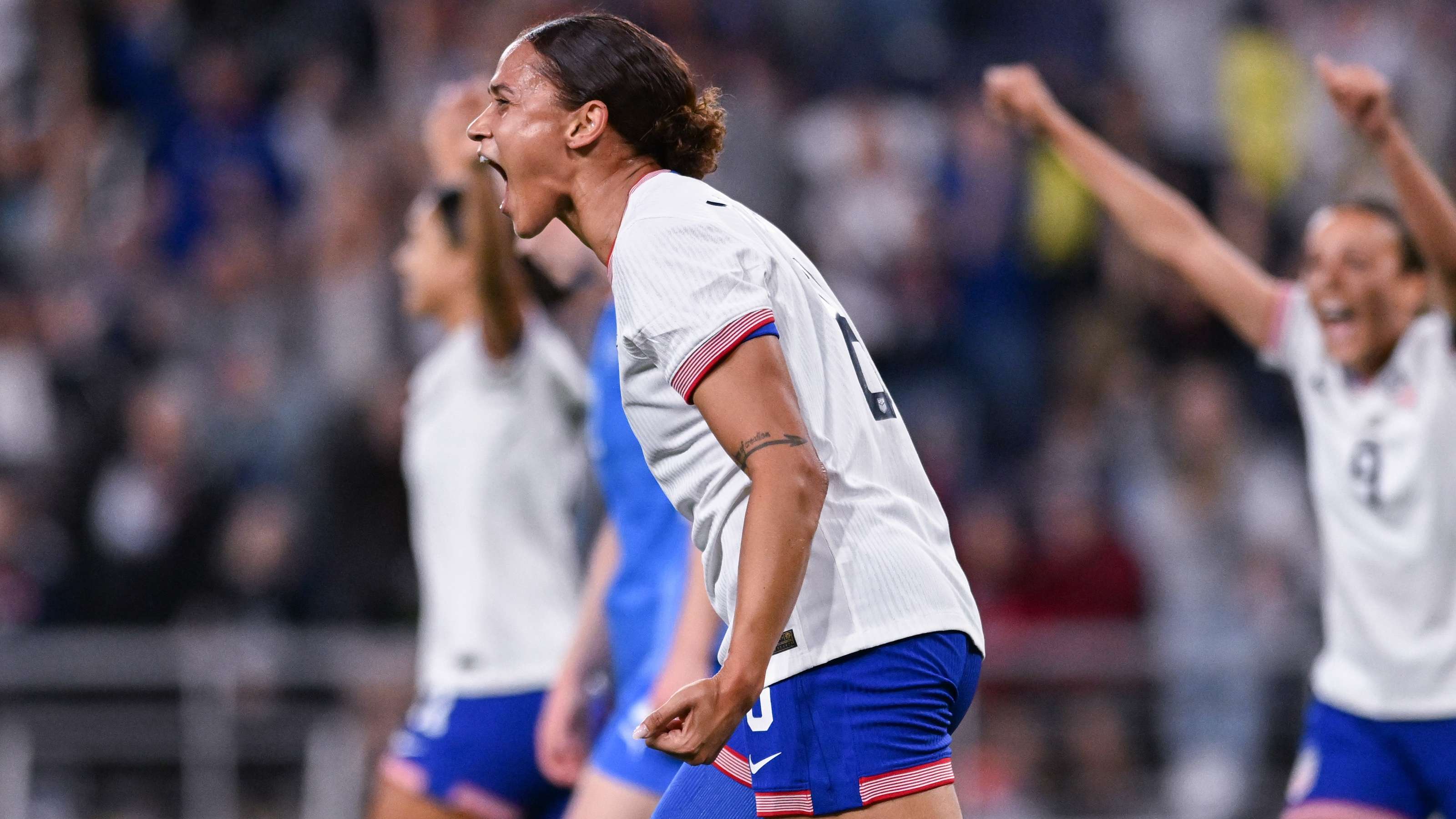 鵜鶘穩定軍 鵜鶘穩定軍