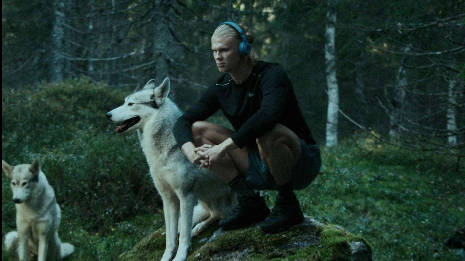 进攻的发起 进攻的发起