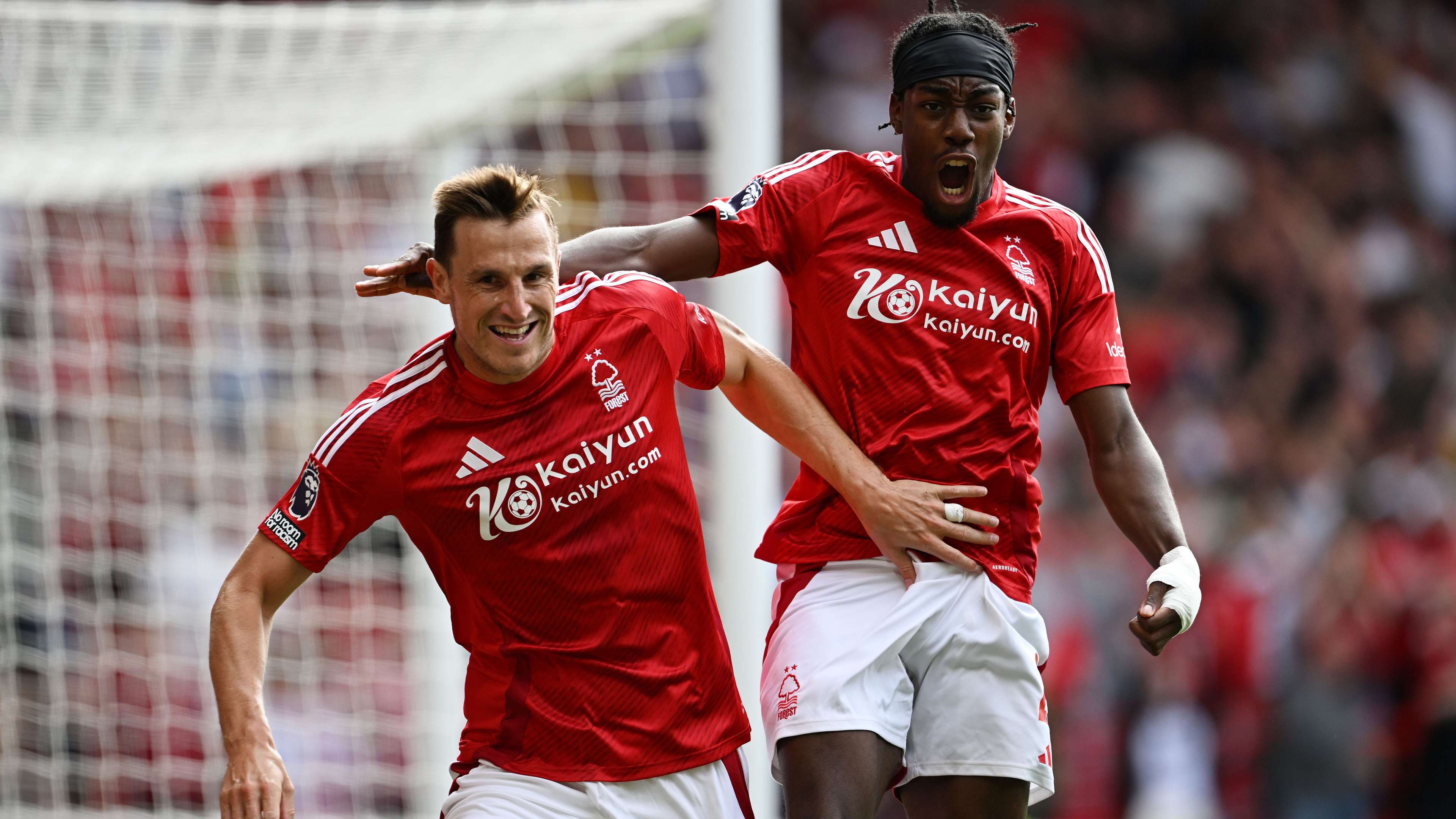 委员会和球 委员会和球