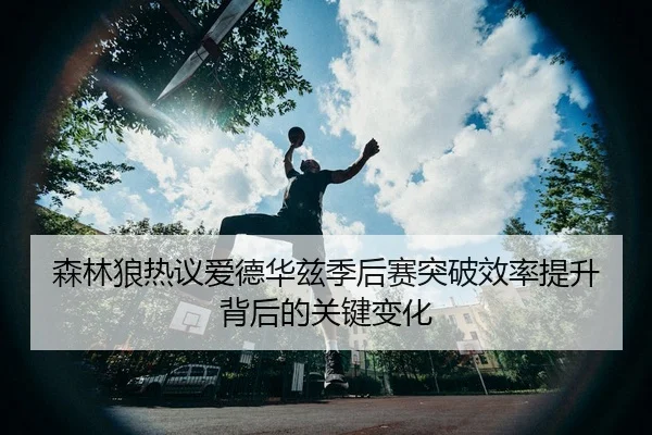 森林狼热议爱德华兹季后赛突破效率提升背后的关键变化